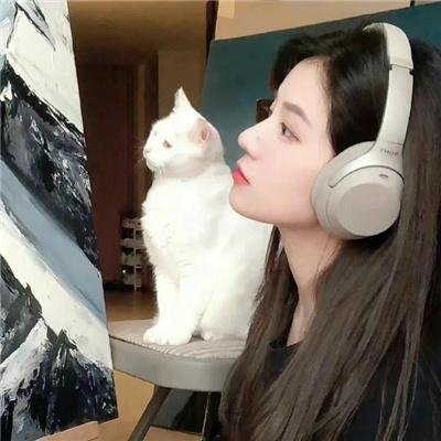 黑雀特工